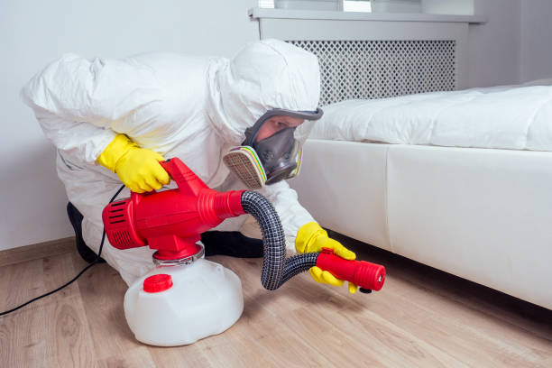 Emergency Pest Control Services in Salisbury, MO